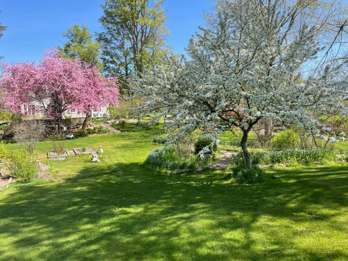 Wildflower Cottage Oxford Dış mekan fotoğraf
