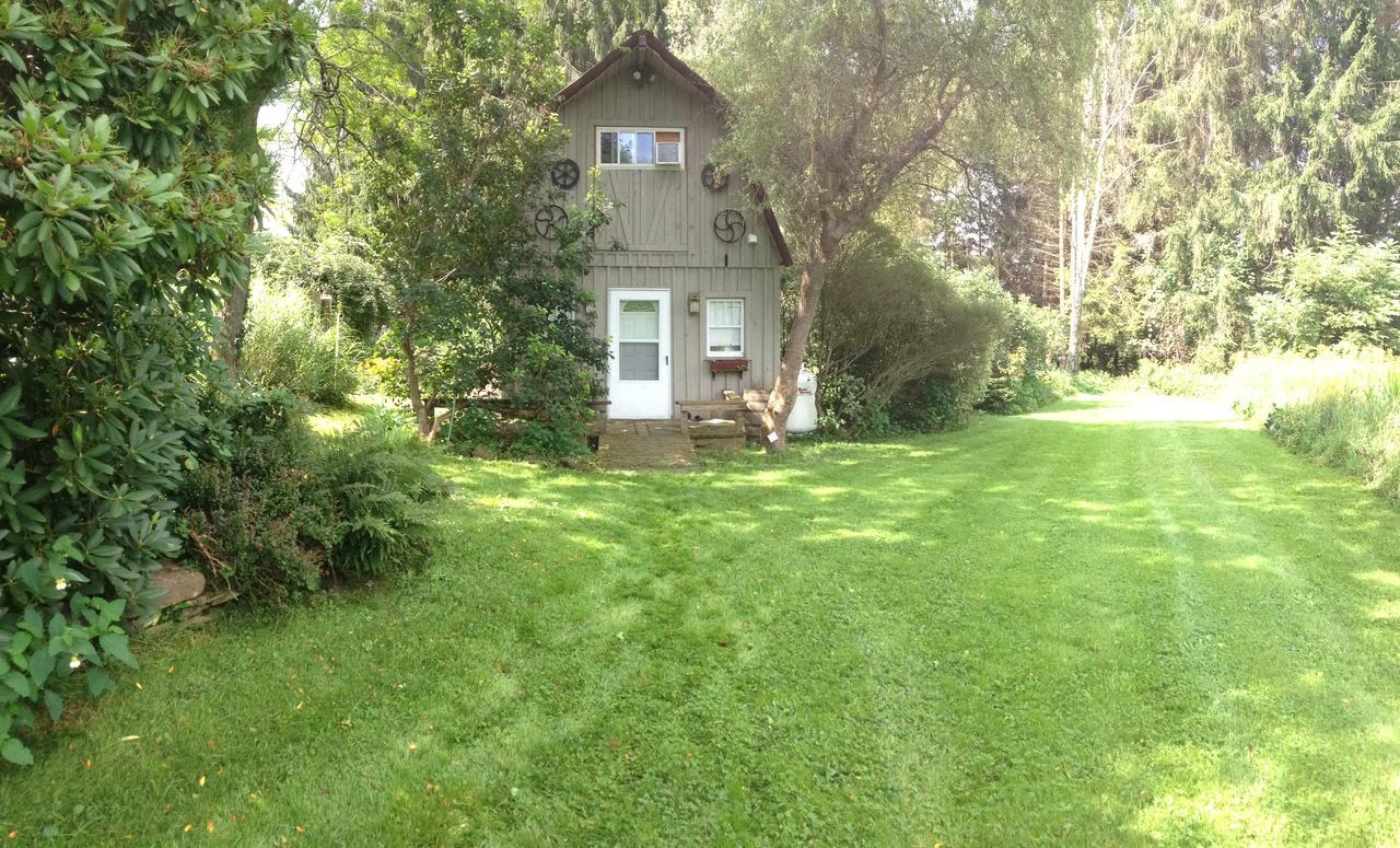 Wildflower Cottage Oxford Dış mekan fotoğraf